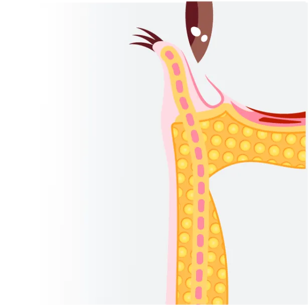 03 綺麗な状態へ